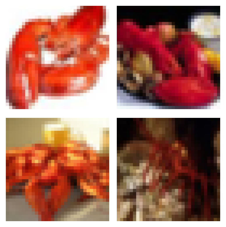 typical_cifar100_lobster