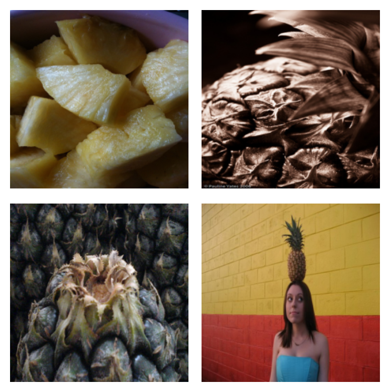 corrupted_im_pineapple
